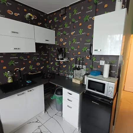 公寓 Joasi 埃尔布隆格